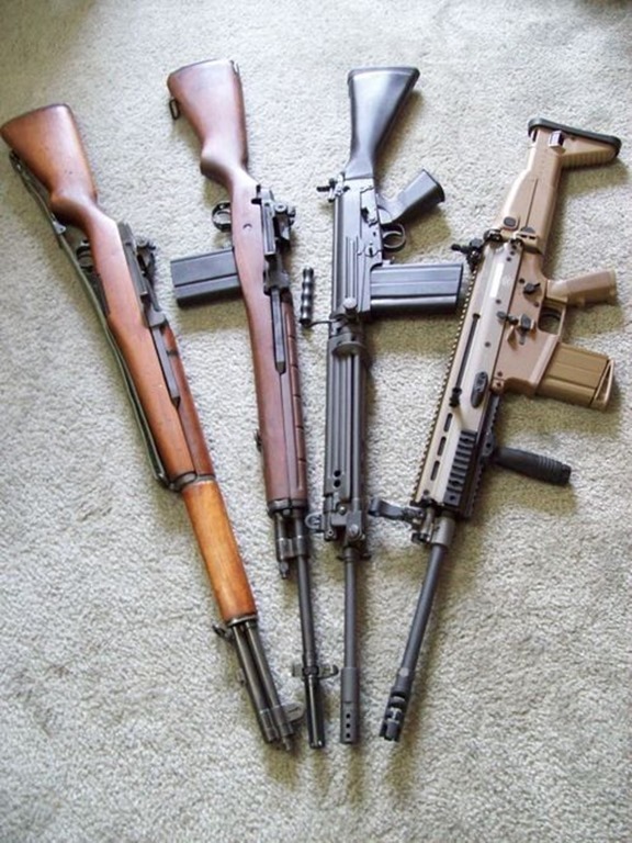 Left to Right :  M1, 30 Cal carbine,  FN  FAL,  SCAR.