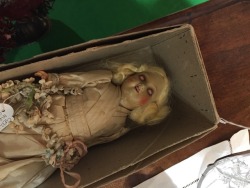 mszombi:  shiftythrifting: today i found a doll that is 100% a demon I NEED her 
