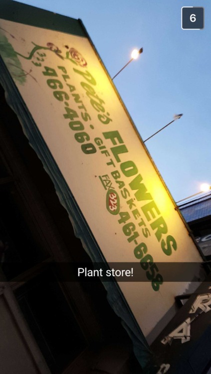 My boyfriend moved to LA for a few months and one of the first snapchats he sent me is of a plant sh