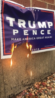 snailactivist:  trump signs burn really well. use that information however you’d like.  Thumbs up!