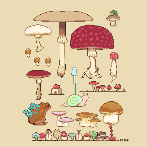 vpandav: mushrooms