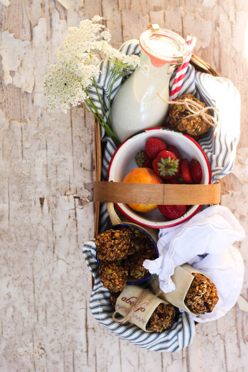 Fruit and Nut Yogi Bars {vegan and g/f}