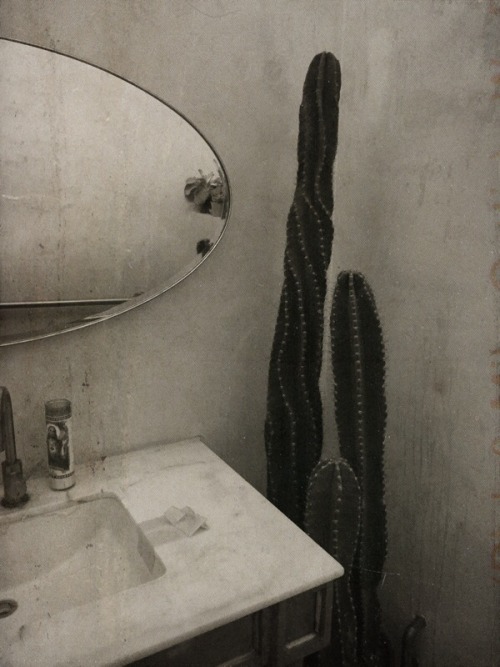 christiescloset: Is it weird to say that this cactus in De Maria made my day?