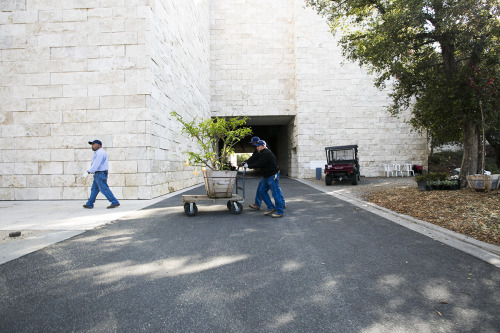 Robert Irwin’s Central Garden is a living, breathing artwork. It’s ever-changing and evo