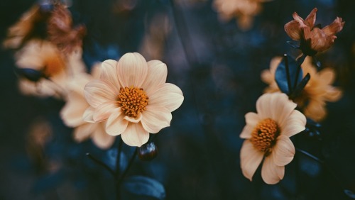 It Smells Like Autumn. Let's Take A Deep Breath.