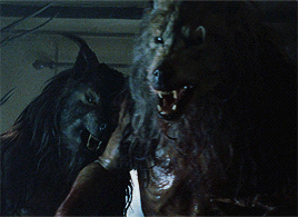 The Top 10 Best Werewolf Movies from 1980 to 2020 by Todd 