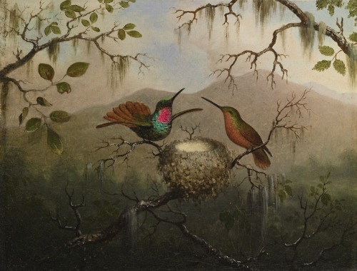 Martin Johnson Heade (1819 - 1904), “Two Hummingbirds at a Nest”. Oil, 1863.