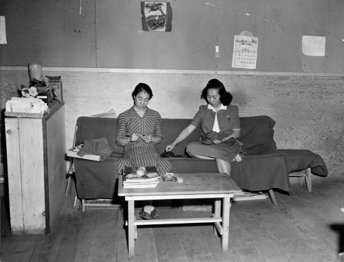 oaklandtribunearchives:Tule Lake: Domestic LifeIn the first photo, Mrs. Yoshi Mori knits and her dau