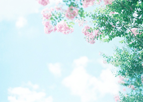 oretorii: Untitled by shabon* on Flickr