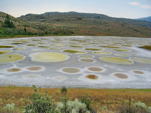 Spotted Lake, BC (2) - a little closer view by Yvon from Ottawa on Flickr.