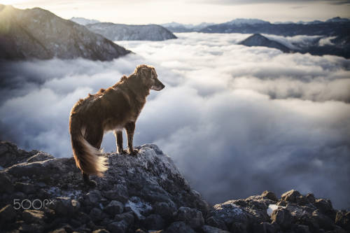 Above the clouds&hellip; by Anne Geier