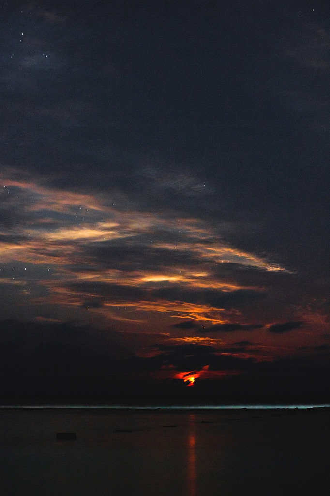 brutalgeneration:  deceive (by Mahin Fayaz) 