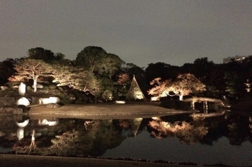 六義園イルミネーションRikugien IlluminationI went last weekend, but was a little disappointed. It was beautiful