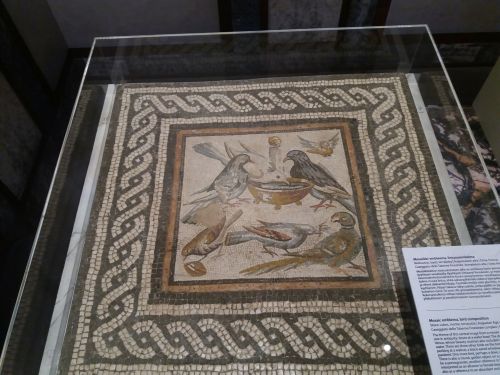 romegreeceart:Roman floor mosaic, Ostia Antica* Augustan era* Exhibition: Ostia, Gateway to Rome. Va