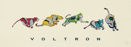 coquiwi:  What started out as lioness studies turned into Voltron fanart but I ain’t complaini