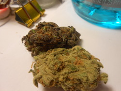 jetlife-tothenextlife:  some more purp, and