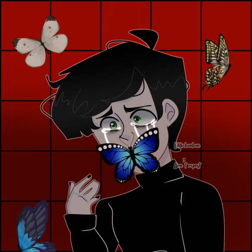 -Butterflies-