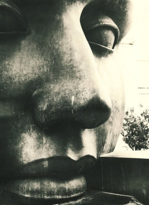 Lith Print 001 by Nicolas Meurillon /nikom, Angers, France, 2009