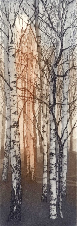 “Young Birches” etching by Chrissy Norman (inspired by the silver birches that stand outside Tate Modern)