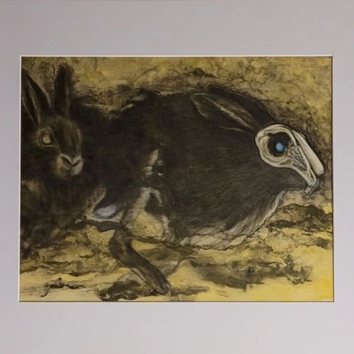 RABBIT! RABBIT! . . #rabbits #bunny #bunnies #houserabbits #rabbitsofinsta #bunnylove #bunniesofinst