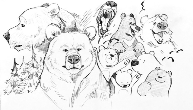 ursidanger:  bear  