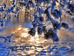weza:  Beautiful winter ❤❀❤ 