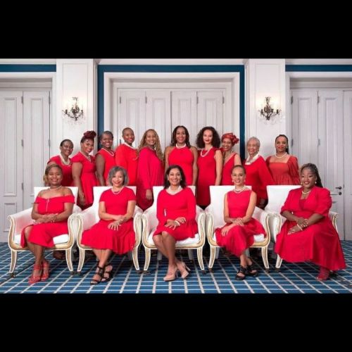 Southern Africa Alumnae Delta Sigma Theta Happy Belated 1st Charter Day #SouthernAfricaAlumnae #