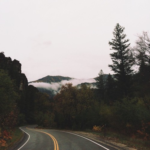 gregrakozy:  Standing in the middle of a busy canyon road to snag a gram. Worth it.