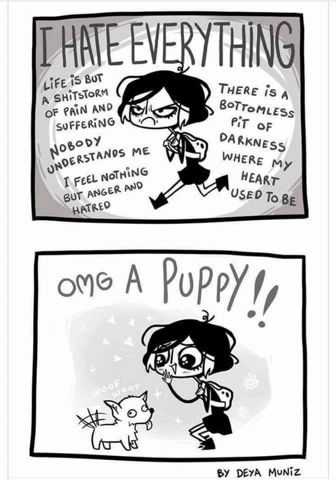 memehumor:  One Puppy, Just One, Is All It Takes to Turn the Tidehttp://memehumor.tumblr.com