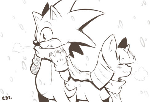 Sex For http://sonicdash.tumblr.com/ Sanic X pictures