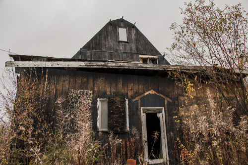 Missing Alaska. Missing no one for miles and minutes, for wooden shacks unassuming and freezing limb