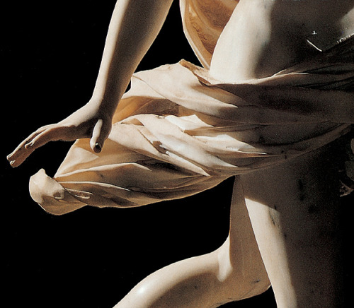 tritticodelledelizie: Gian Lorenzo Bernini Apollo e Daphne from Ovid’s Metamorphoses marble, 1