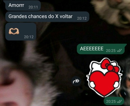 O Coitado Todo Dia Tendo Que Me Ouvir Reclamar Do Twitter Ter Cado