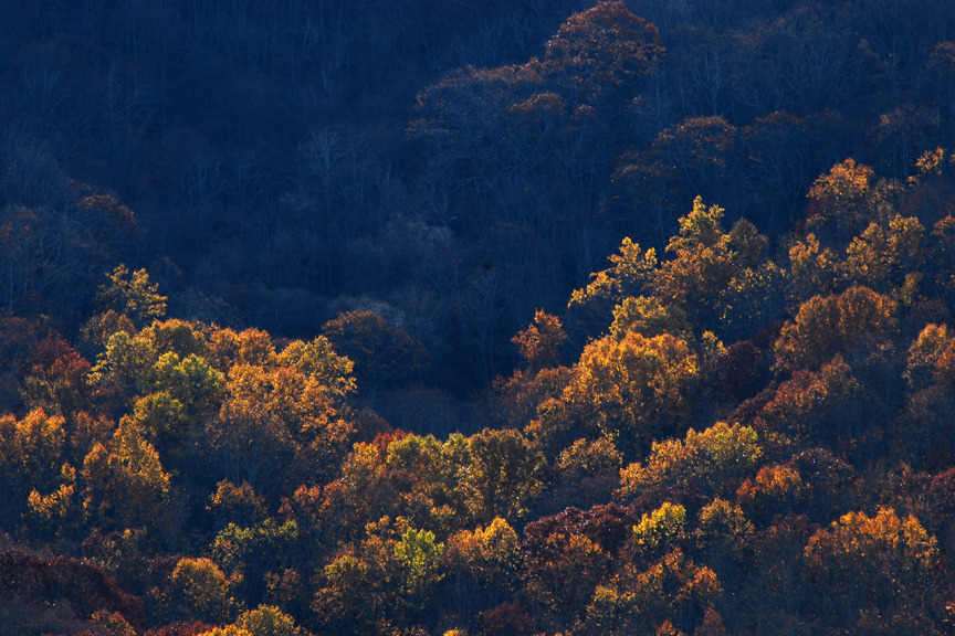Fall color in The Watuaga Reserve, Cherokee National Forest, Tennessee, USA. ©Van Miller