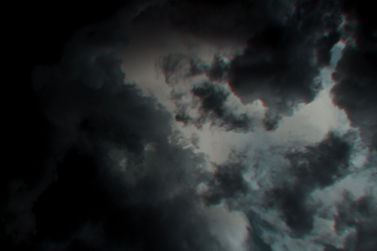 viva emptiness