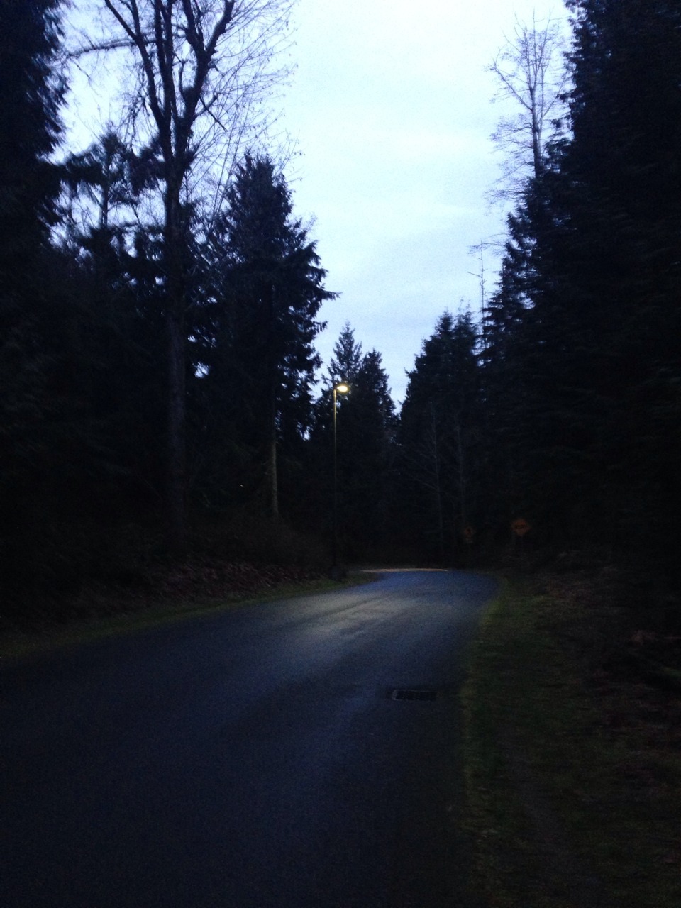 alt-j:  i went for a run and it was a lil spooky