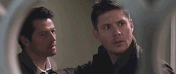 destielonfire:  yourfavoritedirector: ¯\_(ツ)_/¯ Did Dean…look at Cas’s lips/neck there right before he backed away from him?
