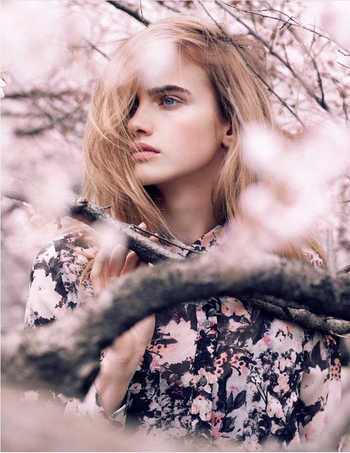 gracestewartxo.tumblr.com/post/60335672738/