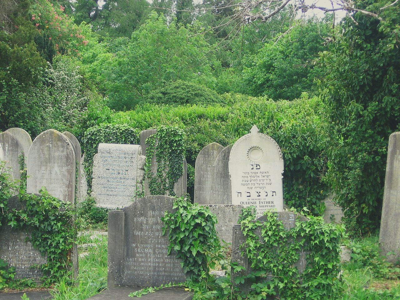 englishsnow:  Old Southampton Cemetery by dippy_duck 