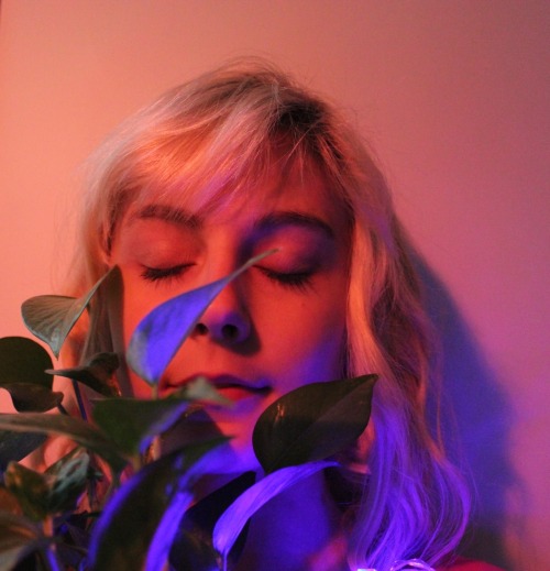 velcrofrog: A nice plant set