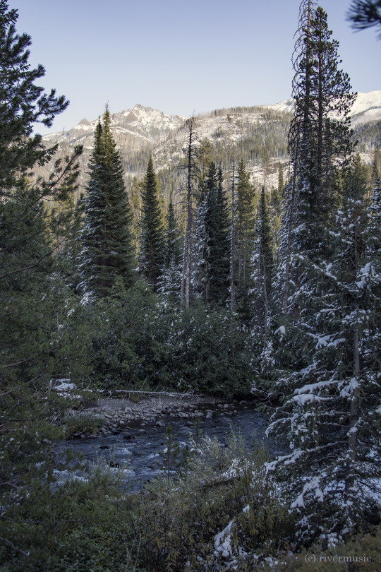 The alpine air was cool and fresh, and the water sang: (c) riverwindphotography, September 2020
