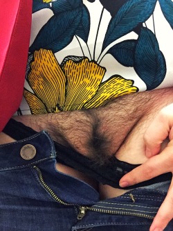 ketraptor:  Another of casual Friday! ;)  My favorite kind of bush picture :) thank you!