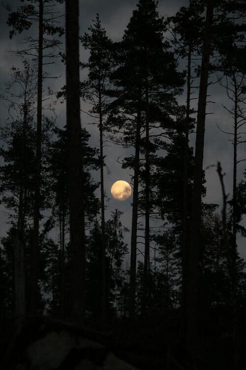 unevxntful:  my blog will make you smile ♥