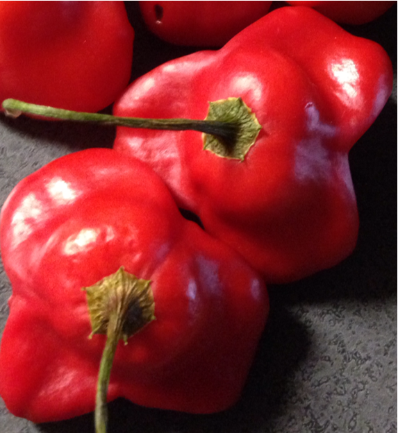 Crown Slightly hotter than a jalapeño but not as hot as a
