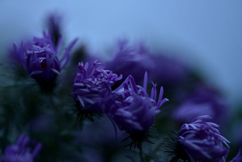 Positive force…. by ~Pulse72