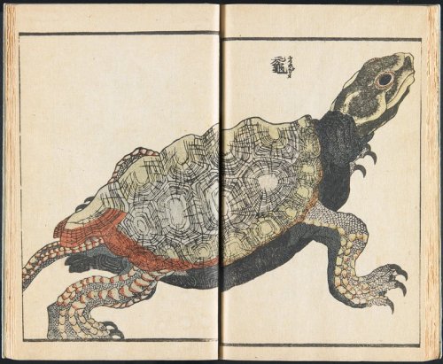 mia-japanese-korean: Pictured Phenomenon vol.2, Utagawa Sadahide, 1864, Minneapolis Institute of Art