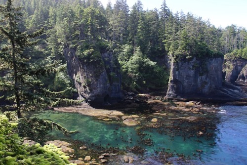 burningmine:Cape Flattery, July 2018