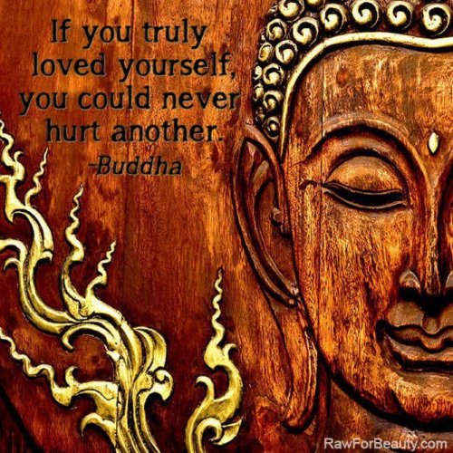 wild-nirvana:  •my spiritual world• 