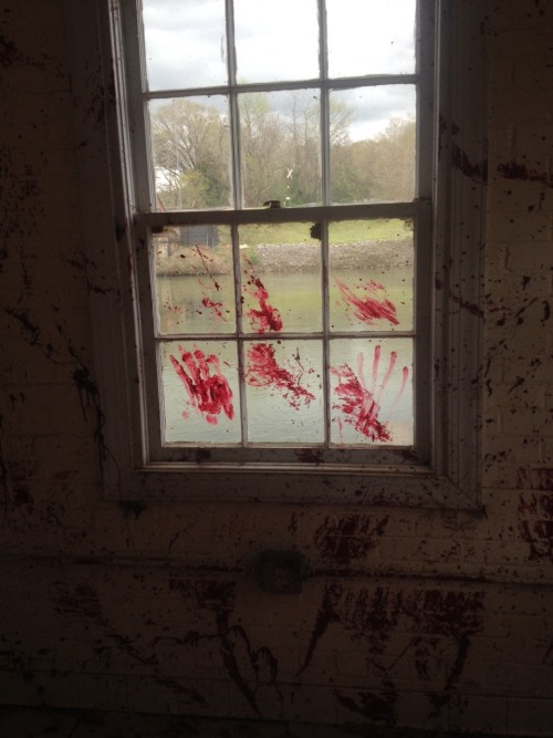 starbuckers:  splantamello:  starbuckers:  Look at this house we found by the river today  That’s a murder scene not a house  Look at this murder scene we found inside a house today 