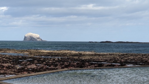 North Berwick looking quiet in 2020Featuring Bass Rock in the background.